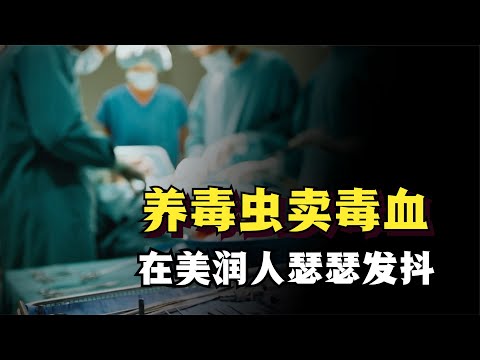 吸血墨西哥，祸害全世界，美国“养毒虫卖毒血”让润人脊背发凉