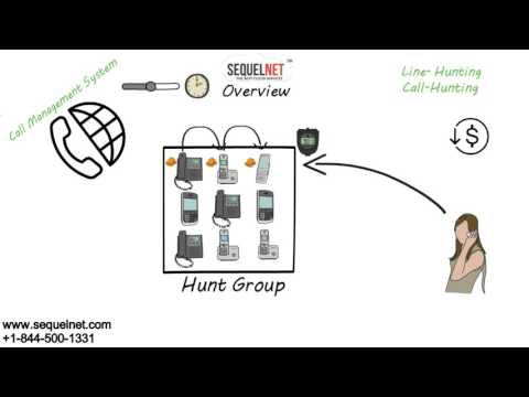 SequelNet Hunt Group FAQs