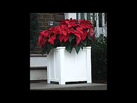 Large Planters with Castor Wheels