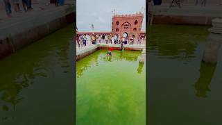 Jama Masjid In Delhi Status #shorts #shortsfeed #youtubeshorts #allahuakbar #jamamasjid