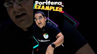 💯 Phylum Porifera Examples Mnemonics 🔥 Non Chordata ⚡ Kingdom Animalia ❤️ NEET Entrance Exam