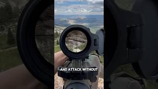 Why Snipers Avoid Lasers 🤔 #shorts