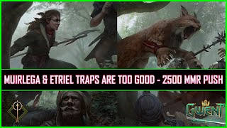 Gwent | Muirlega & Etriel Traps Are Too Good - 2500 MMR Push!