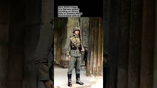 WW2 Brought to Life : German Guard on Sentry Duty