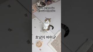 Perfect Understanding with the Owner