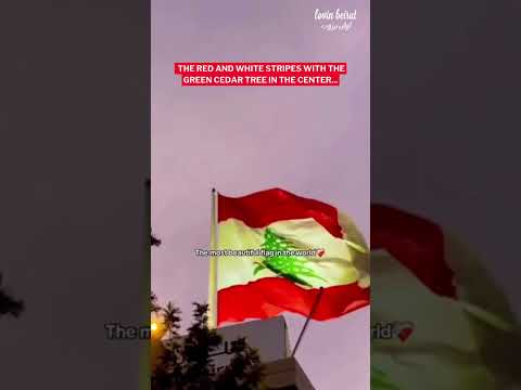 The Lebanese flag carries so much pride and history!