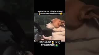 #koti_kansugalu #kannadareels #alcohol #meme #kannadamemes #love #breakup