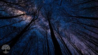 Stress and Anxiety Relief - Detox Negative Emotions, Sleep Healing