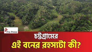 ১৩ মাসে বেড়ে ওঠেছে আস্ত গহীন বন! | Miyawaki Forest | The Press