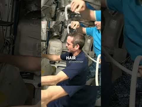 Astronauts Daily Life In ISS |