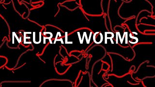 What are neural cellular automata?