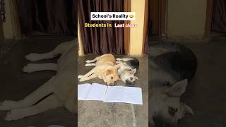 School reality 😂 || labra rubi || #shorts #youtubeshorts #labrador #dog #funny #memes #funnymemes