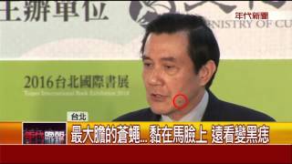 窘! "交接條例"藍綠鬥  蒼蠅"黏馬"變黑痣