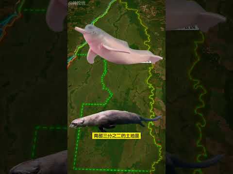 地球第49大岛屿——巴纳纳尔岛，也是世界最大河心岛