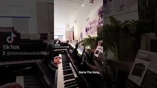 Name The Song Challenge - #32 | RIMMERS MUSIC