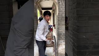 老房改造第六集，这几天继续盖房子，离我的理想小屋越来越近了 #旧房改造 #农村生活 #乡村守护人
