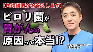 No13 ピロリ菌が胃がんの原因って本当ですか？　教えて平島徹朗先生　たまプラーザ南口胃腸内科クリニック
