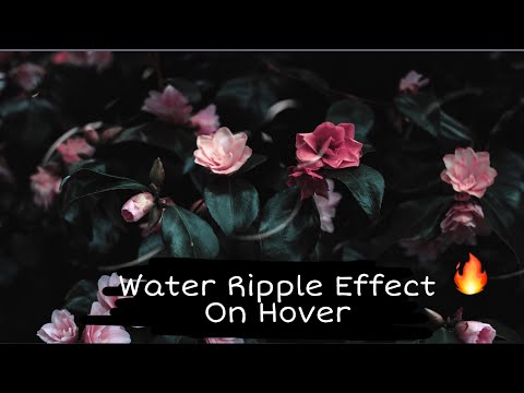 Water Ripple Effect on Background HTML, CSS and JQUERY