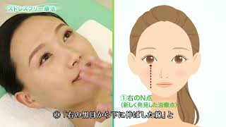 ストレスフリー療法紹介