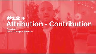 DATABASICS #12 with Antoine: Attribution Contribution