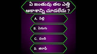 GK questions and answers#interstingquestions#generalknowledgequestionsandanswers