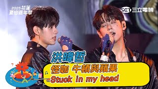 洪暐哲｜怪咖 牛頓與蘋果 Stuck in my head｜2025 花蓮夏戀嘉年華演唱會