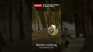 Motion tracking in Pikimov #animation #motiondesigntutorial