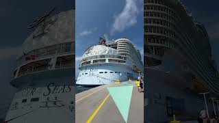 THE GIGANTIC ROYAL CARIBBEAN WONDERS OF THE SEA #short #cruise #travel #fyp
