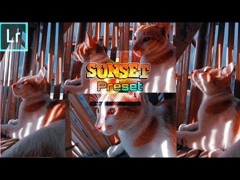 Sunset Preset | By: MatthewEditingStudio| Lightroom Adobe Preset Tutorials