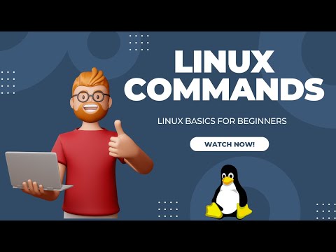 Linux Commands for Beginners: How to Install Linux and Master Basic Commands