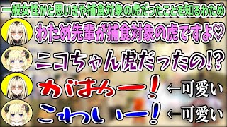 【可愛い】ニコたんは『捕食対象の虎』という真実を知るわため【角巻わため/虎金妃笑虎/ホロライブ切り抜き】