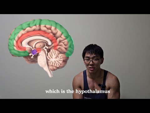 Why (and how) emotions make us stupid.