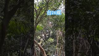 屏東恆春地區 方舟中方舟 4K HD 展覽 搶救珍稀植物 採集瀕危物種 進行培育 未來能再種回它們的原生地 保護各種生物與植物,是必須共同推動及實行的事 Pingtung County, Taiwan