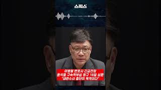 Yoon Seok-yeol's request for detention and legality hearing, interrogation on the 18th "The purpo...