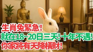 天降橫財！屬兔人7月18、19、20日，你迎來10年一遇的轉運時間，家裡會有貴人送錢！ #2025年生肖兔運勢 #2025年生肖兔運程 #2025年屬兔運勢 #2025年屬兔運程
