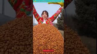 “Mom’s Almond Sack Disaster – Monkeys on the Loose!”😱😮 #shorts