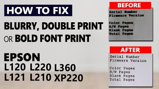 How to FIX Epson L120 L121 L220, L210, L360, XP220 Blurry or double print after waste inkpad reset