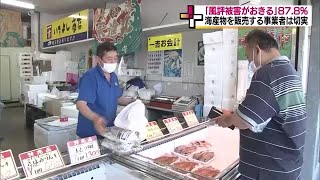 原発処理水の海洋放出　”風評への懸念”は根強く《福島県民世論調査》半数が「理解広まる」との回答も (23/06/19 18:45)