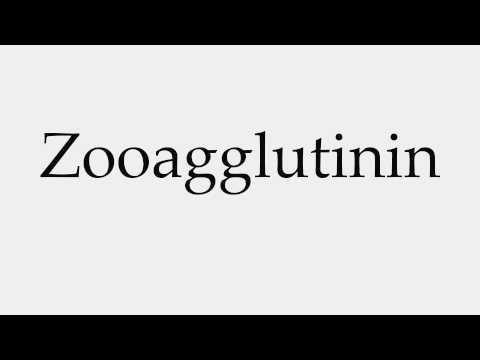 How to Pronounce Zooagglutinin