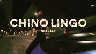 Chino Lingo - Shalaye (Official Music Video)
