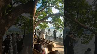 杭州西湖风景 Hangzhou West Lake Scenery #旅游 #摄影 #漂亮的 #休闲 #travel #love #foryou