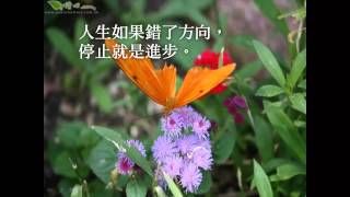 最佳人生觀