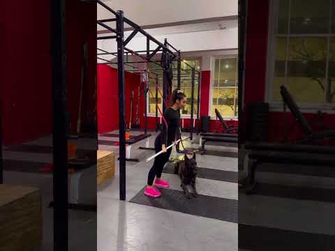 Coach Lindsey at Queen City CrossFit with 3 Drills to help build the press for gymnastic movements.