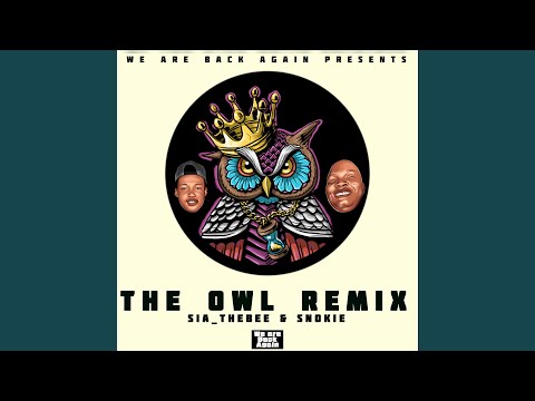 The Owl (Remix)