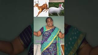 முயலும்மானும்#பாடல்388#songs#shorts@PackiaTeacher