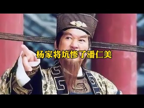 杨家将坑惨了潘仁美