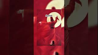 #ytshorts #sufism #islamicshorts #sufimusic #sufikalaam