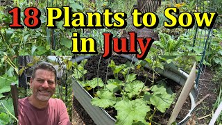 18 Vegetable Plants to Sow in July with Planting Details (Direct Seed Vegetables)
