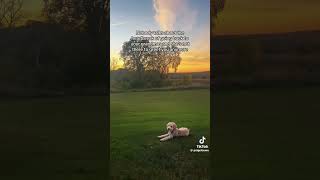 #fyp #blowup #viral #real #quotes #relatable #passedaway #died #grandma #imissyou #iloveyou #family