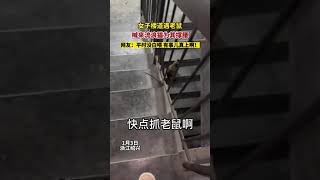 抓老鼠还是流浪猫才行